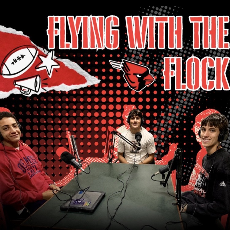 flock