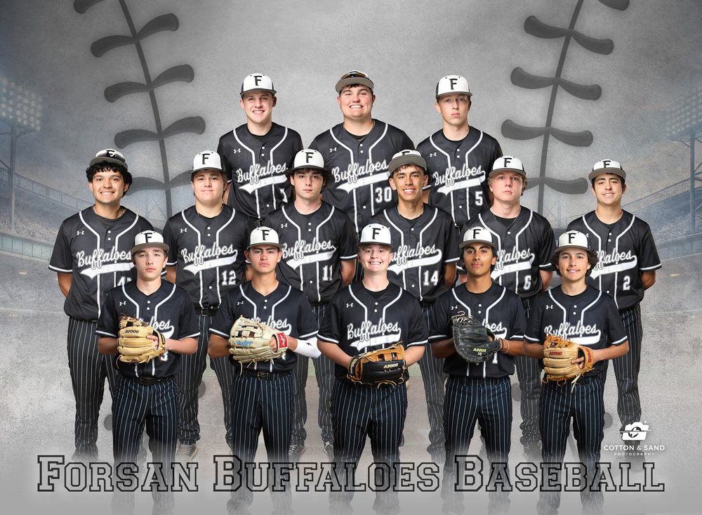 baseball team