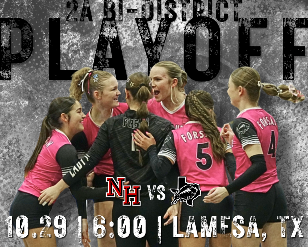 Volleyball Playoffs