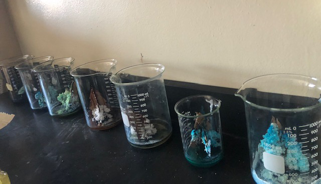 FA Chemistry tree and cookies