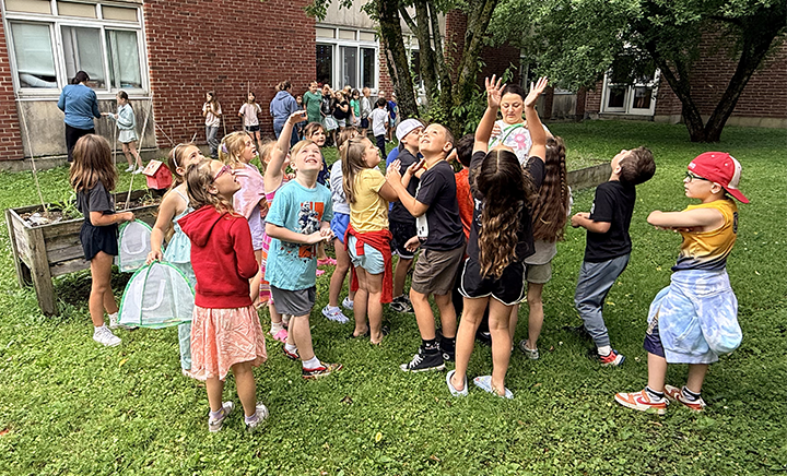 butterfly release 