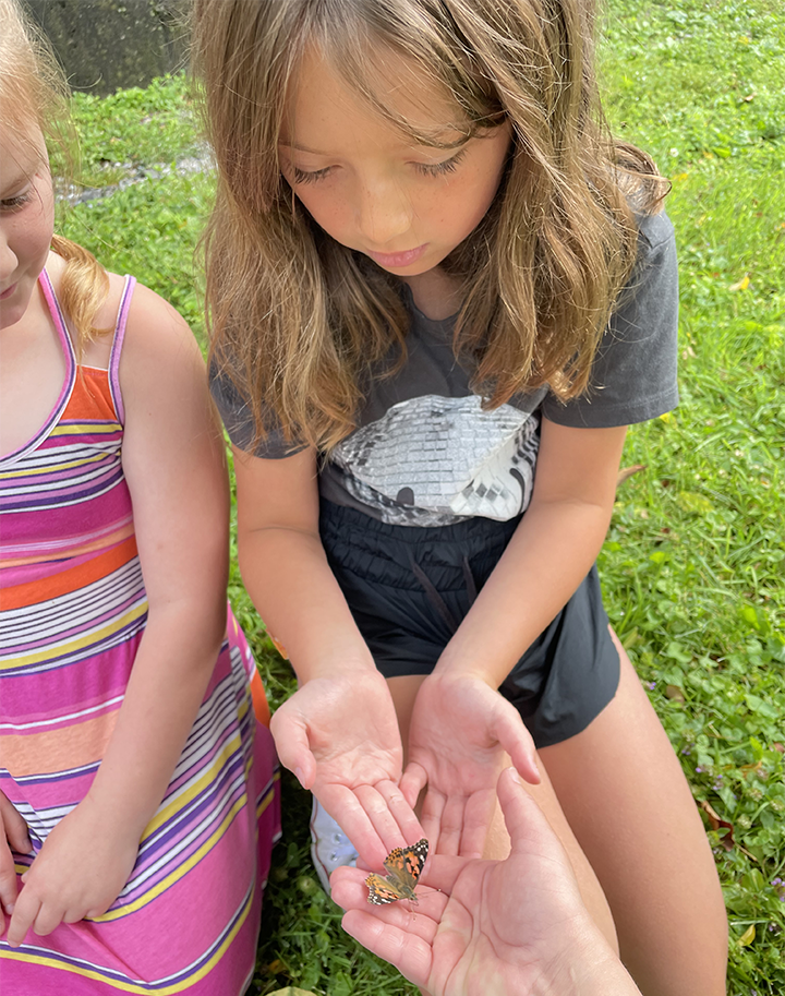 butterfly release 