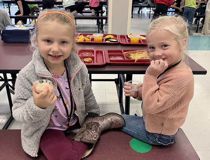 apple tasting
