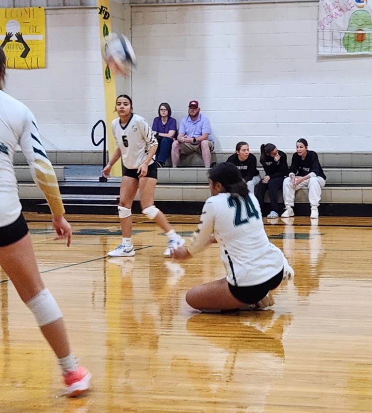 vb