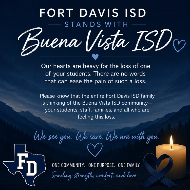 buena vista 
