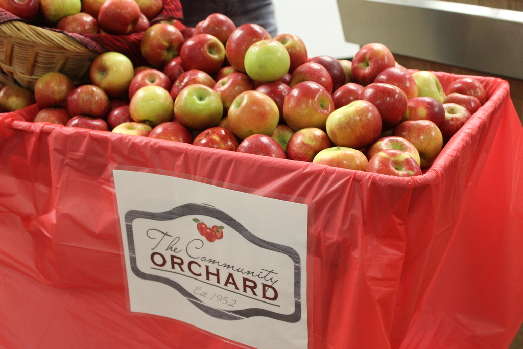 apples in a basket