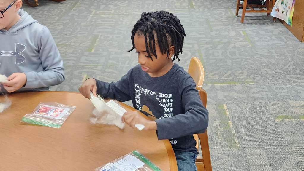 student carding wool