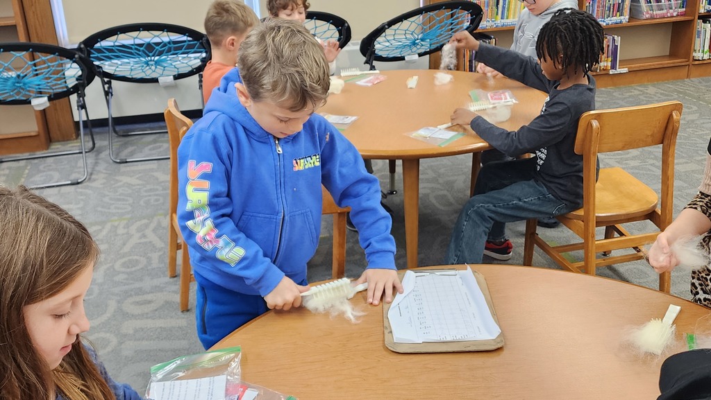 student carding wool