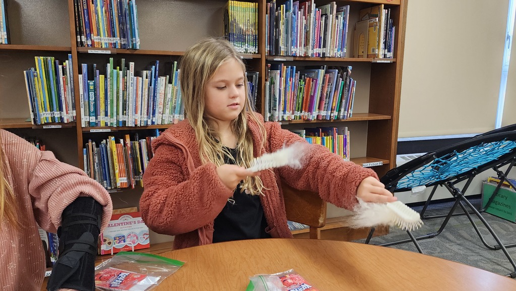 student carding wool