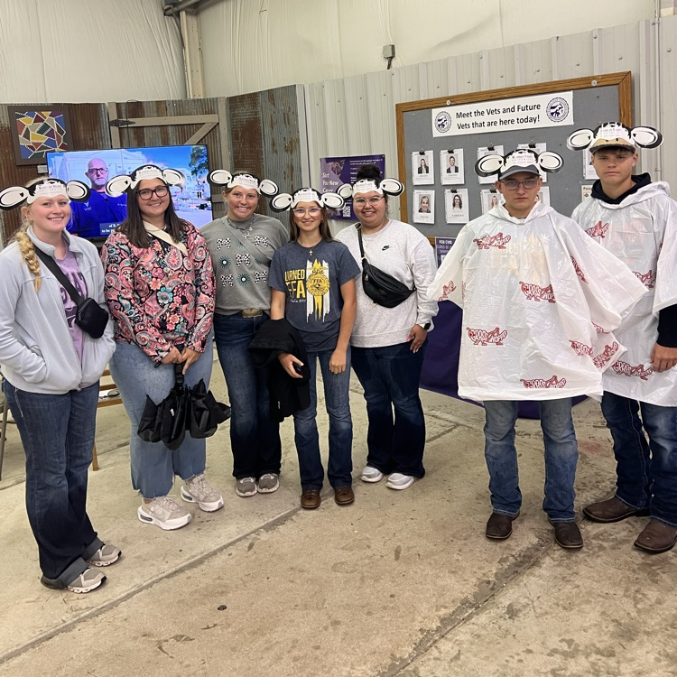 LHS ffa