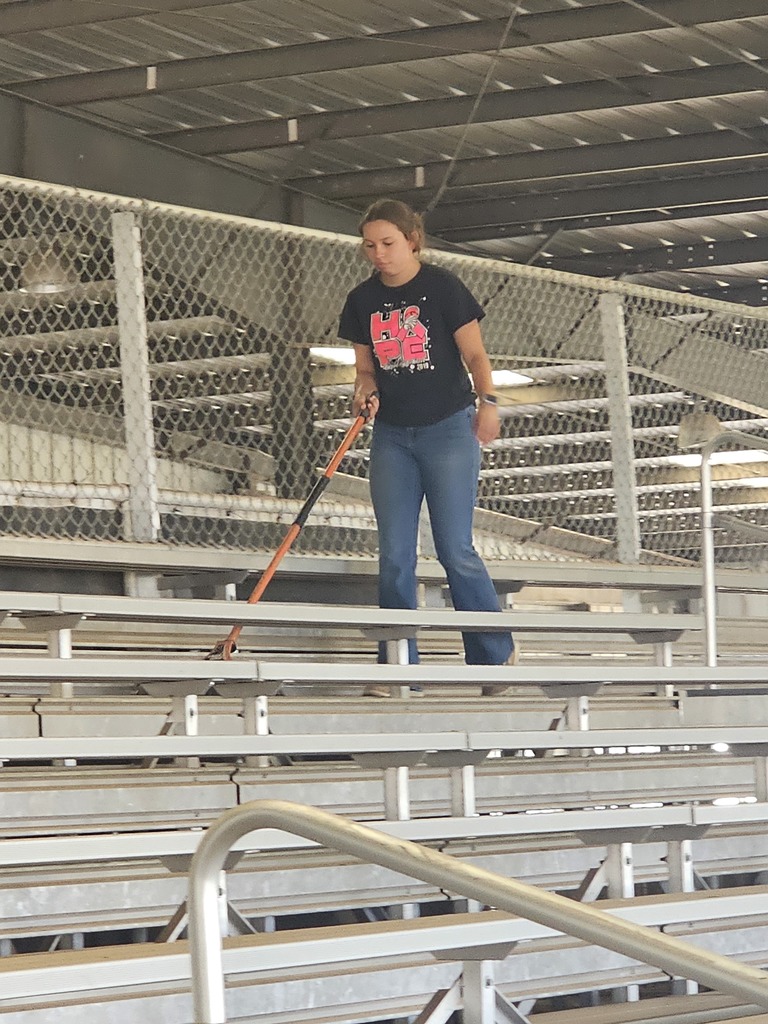 Community Service Day LMS
