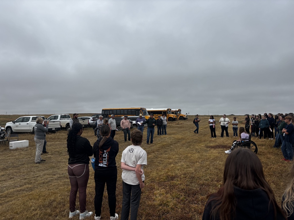 Many people stand in a field, some near vehicles, with a school bus and cloudy sky.
