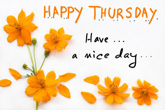 Have a Nice Thursday!