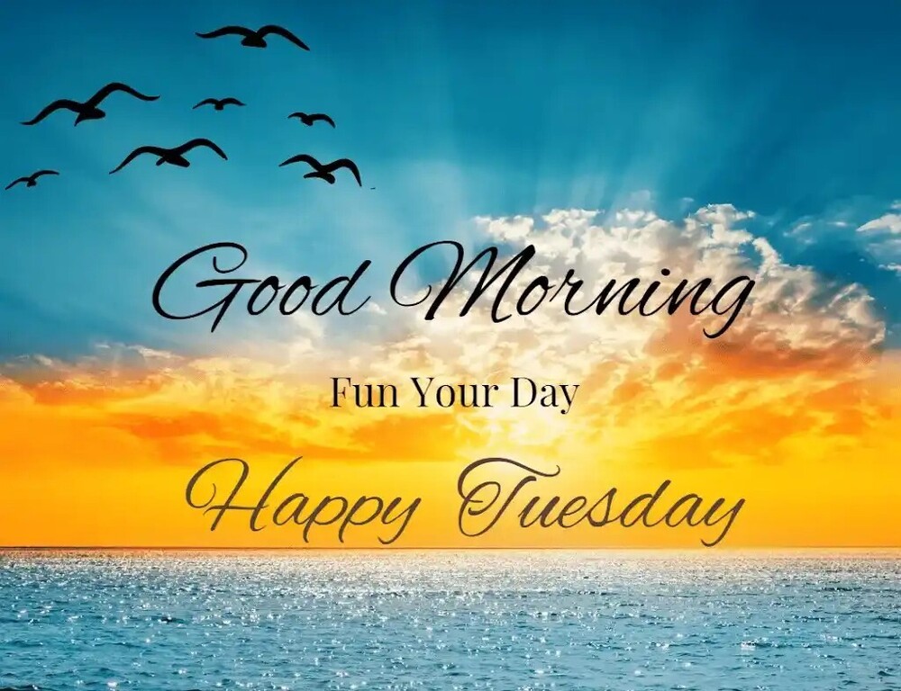 Fun Your Day!