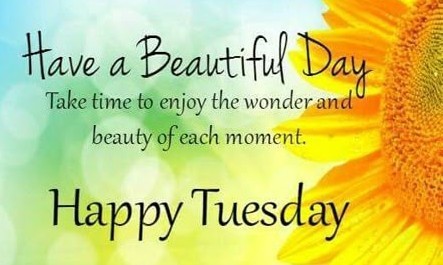 Have a beautiful Tuesday!