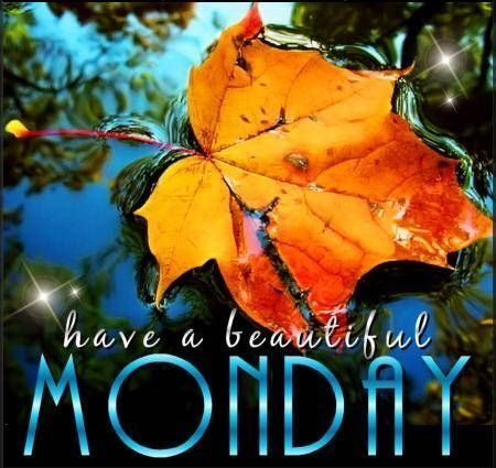 Monday Beauty!