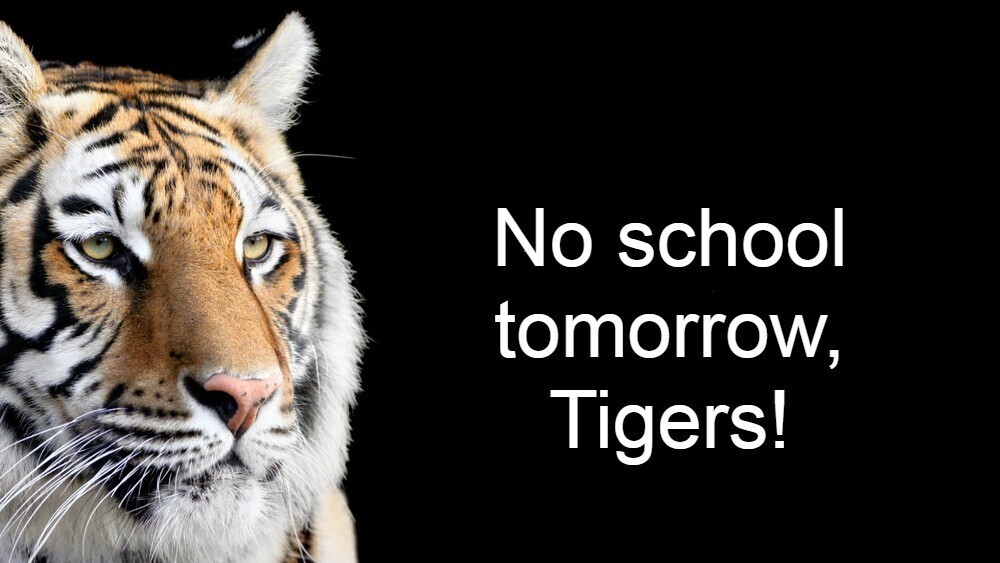 No School Tomorrow