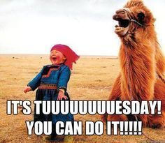 Tuuuuuuuuesday!