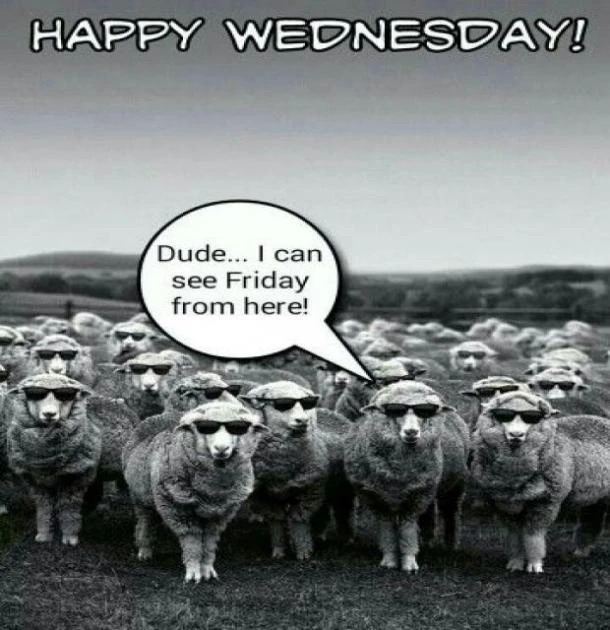 See Wednesday.