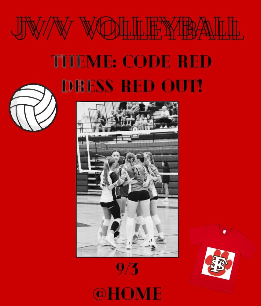 Tiger VBall @ Home