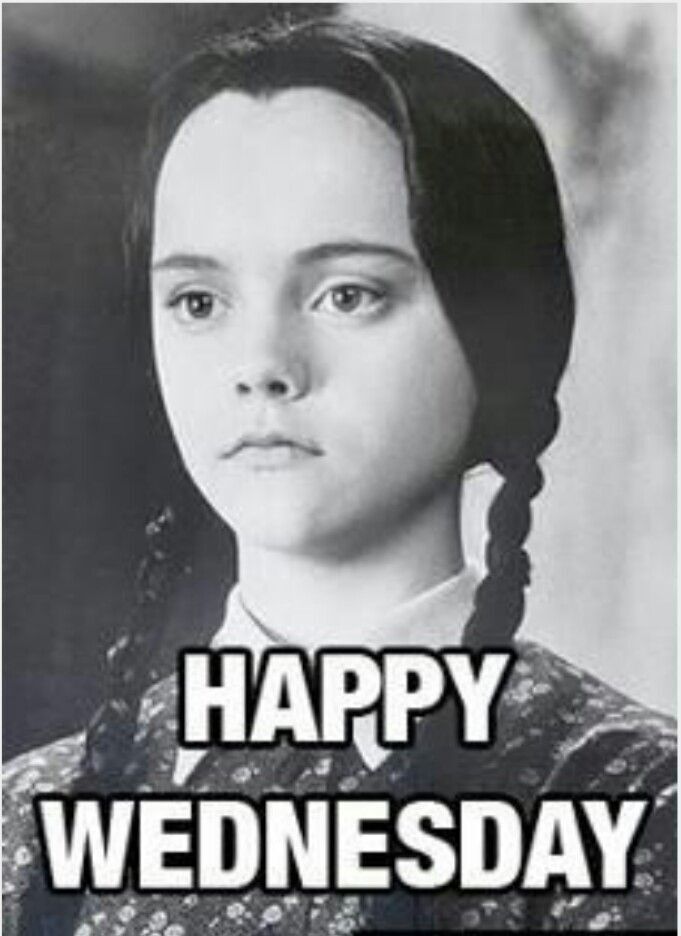 Addams Family Wednesday1