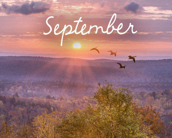 First Sept Stu Bu