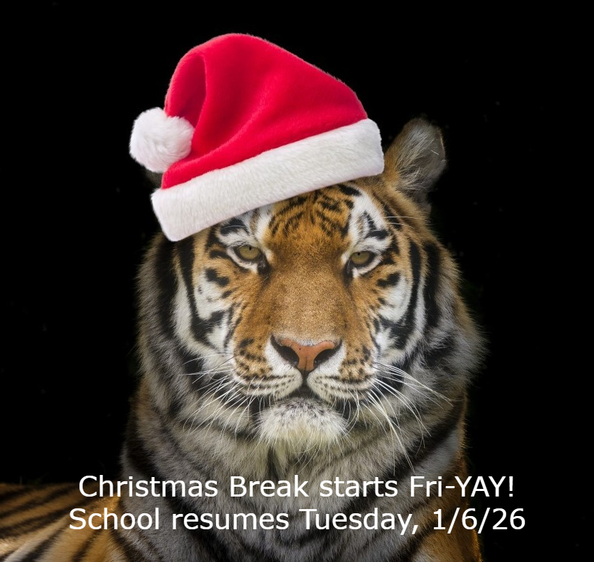 Santa Tiger!
