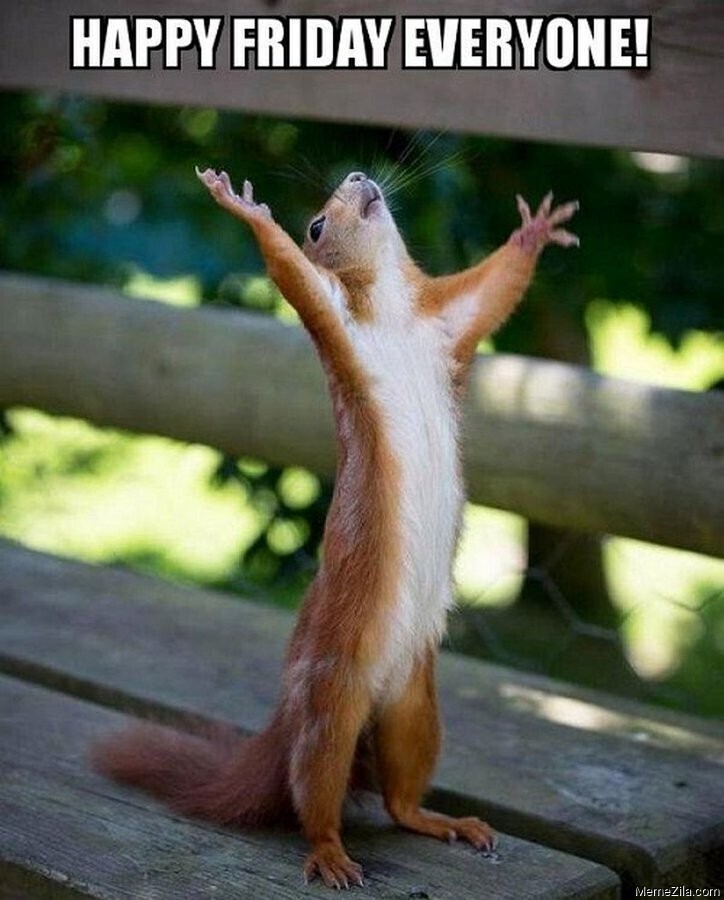 TGIF!