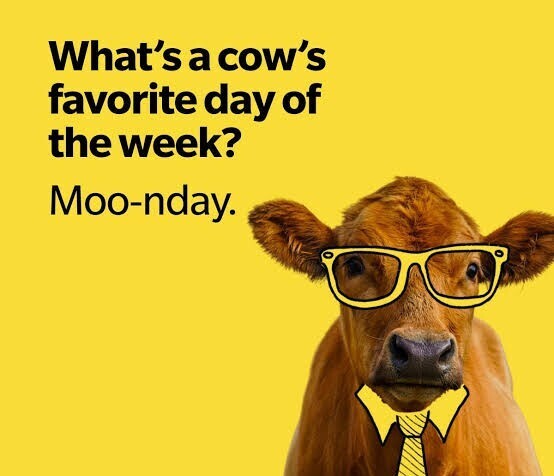 Happy Moo-nday!