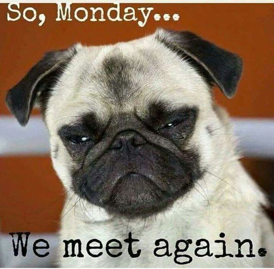 Monday, Again