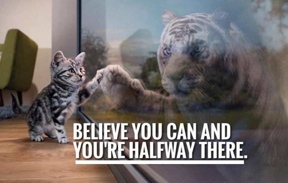 Believe You Can!
