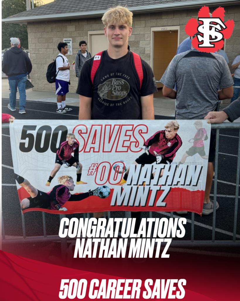 mintz 500 saves
