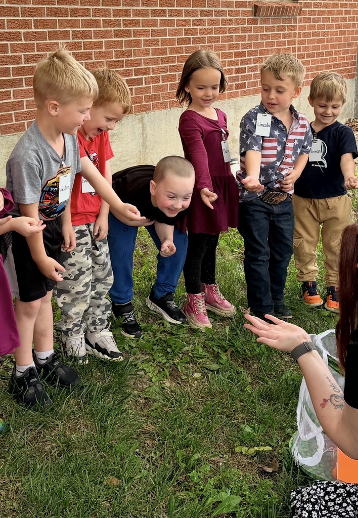 Butterfly release