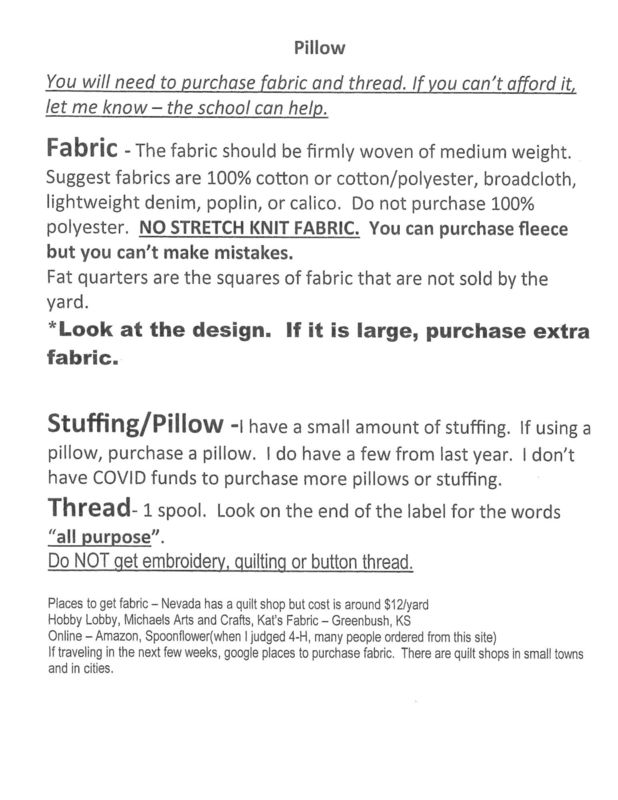 6th Grade Pillow
