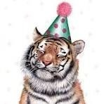 Birthday Hat Tiger!