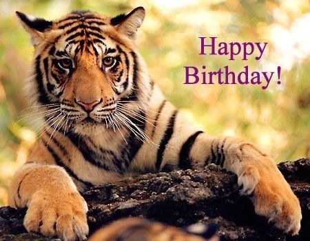 Happy Birthday Tiger!