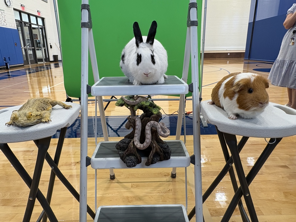 Johnson's class pets took a group photo on picture day at the elementary school.