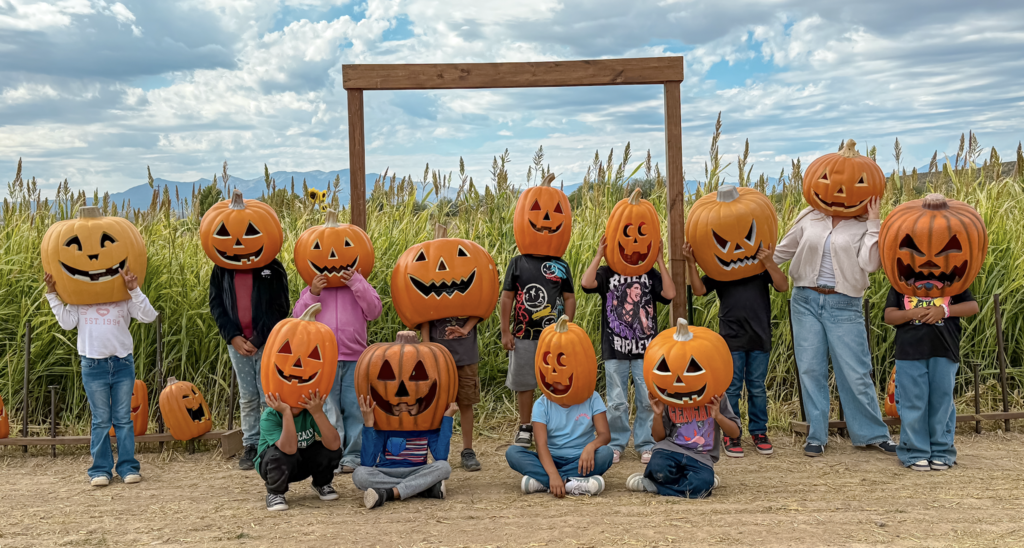 pumpkin patch