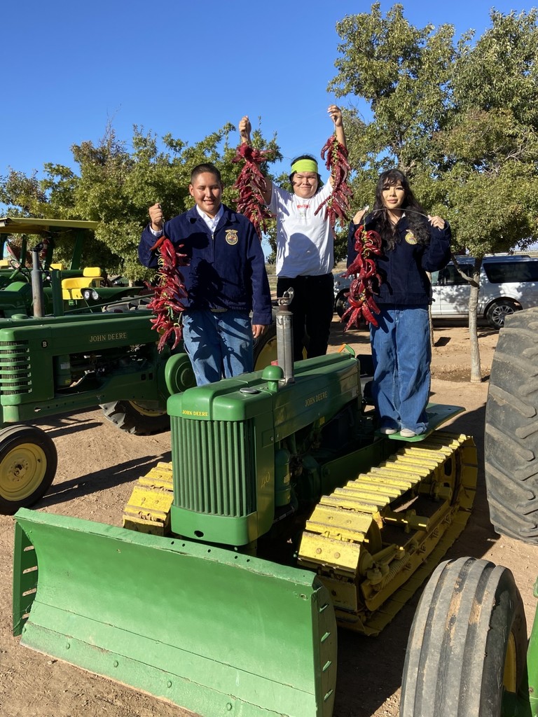 Curry Farms Chile Field Day