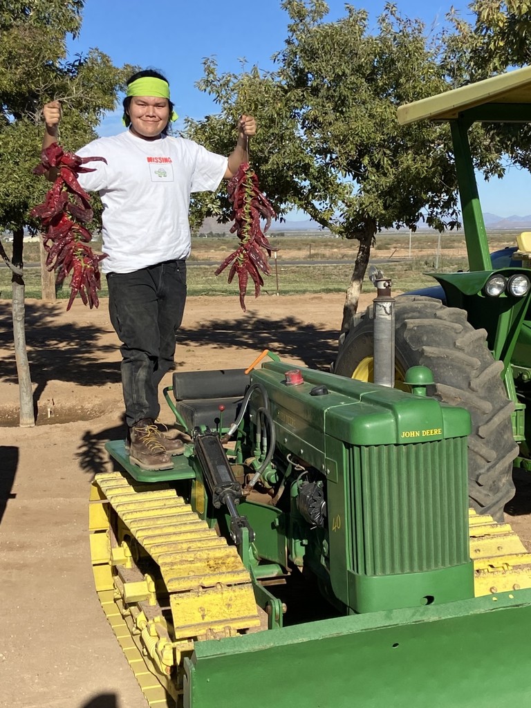 Curry Farms Chile Field Day