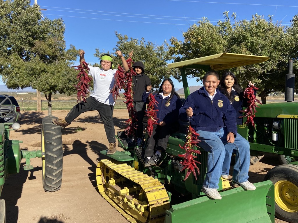 Curry Farms Chile Field Day