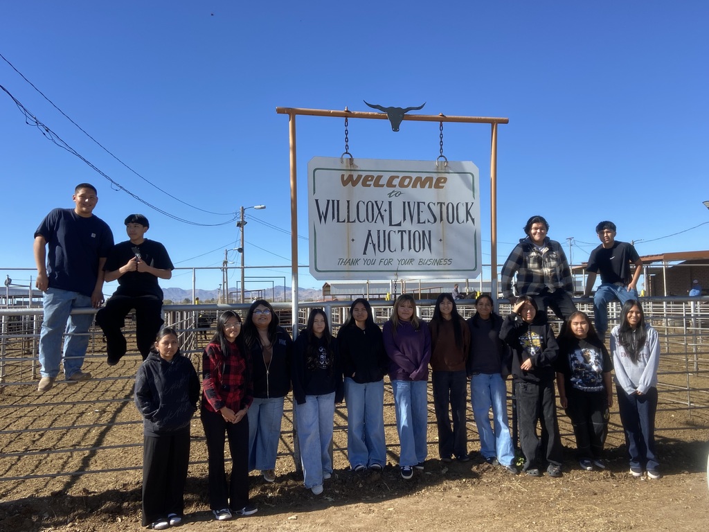Willcox Livestock Auction