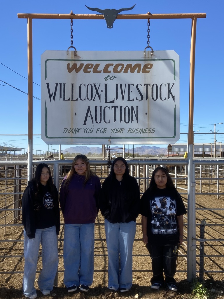 Willcox Livestock Auction