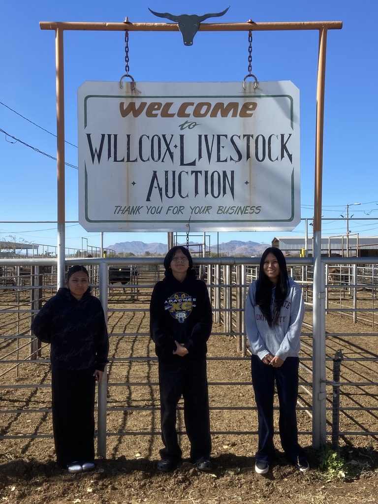 Willcox Livestock Auction