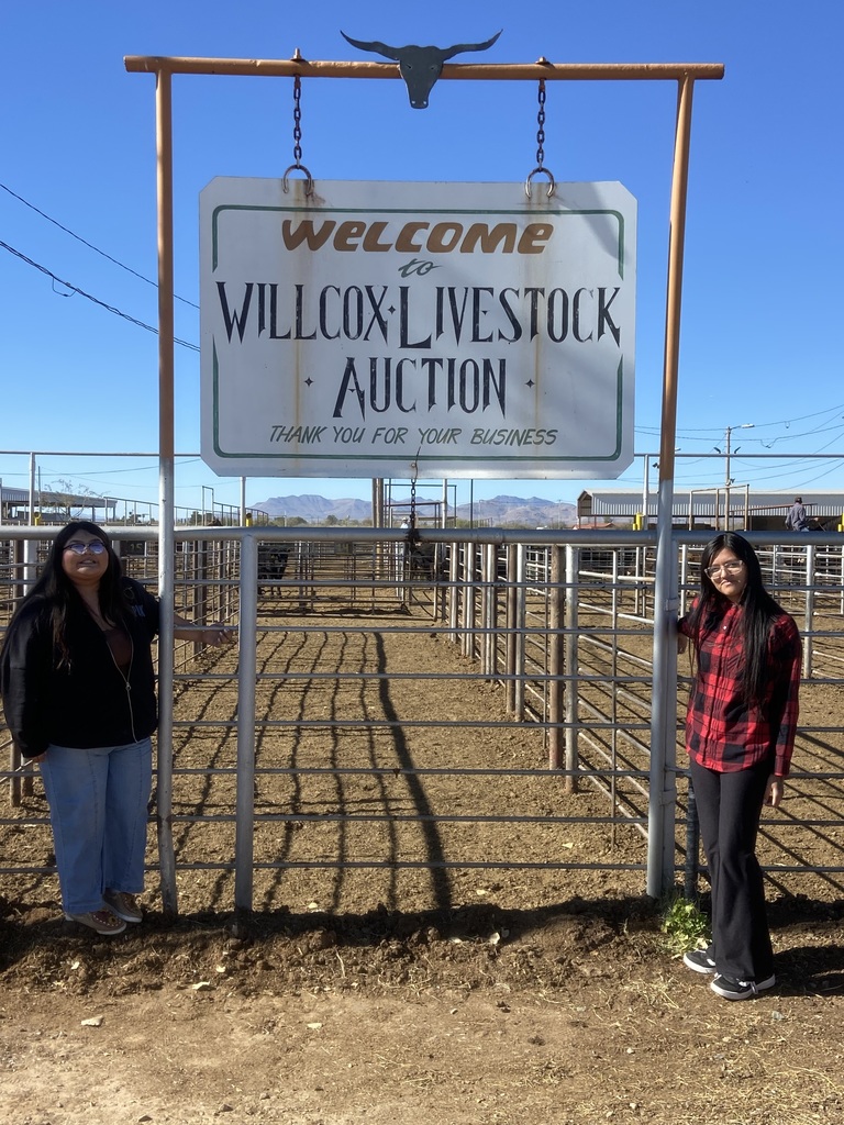 Willcox Livestock Auction