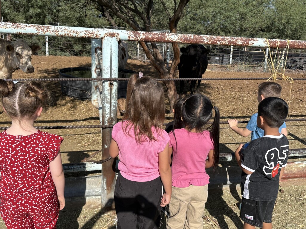 Preschool