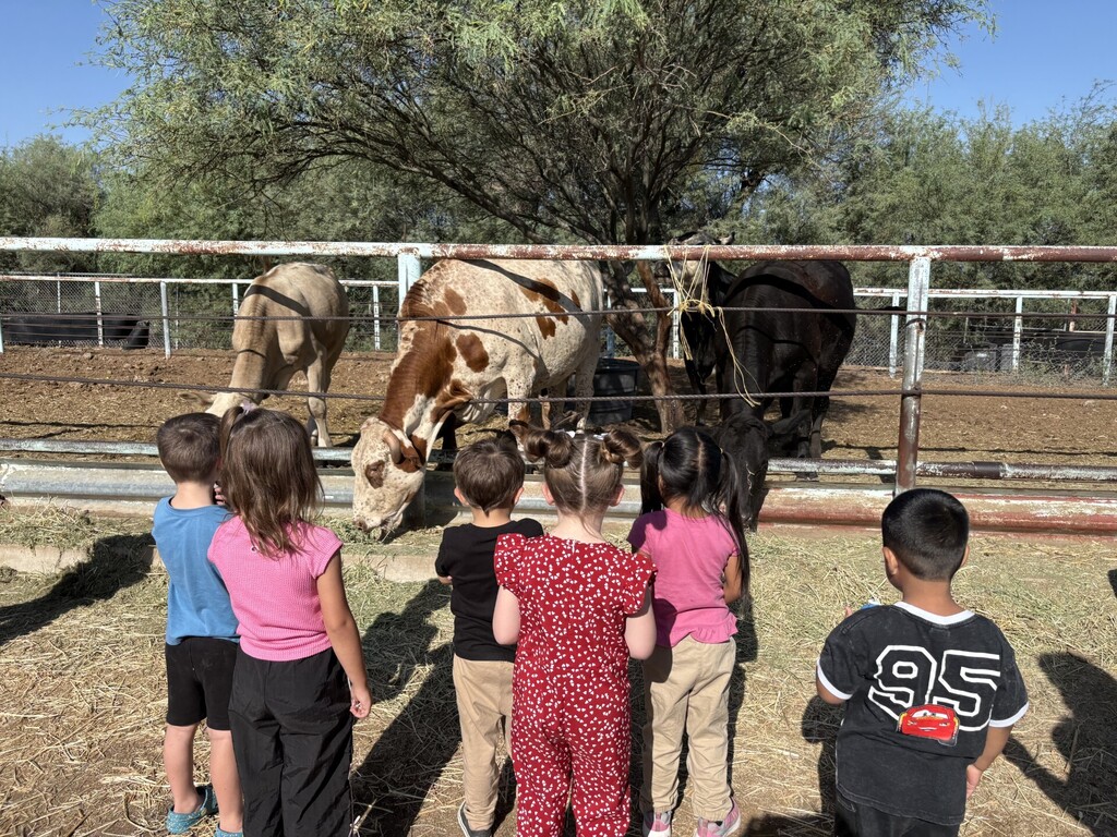 Preschool