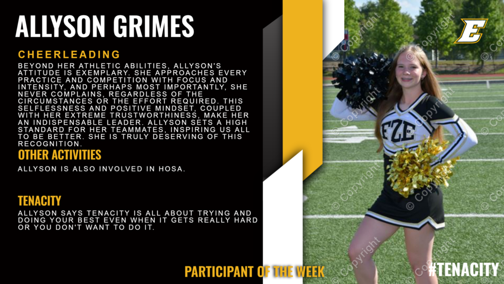 Allyson Grimes Infographic