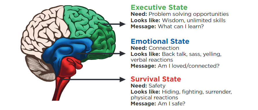 Brain State Model