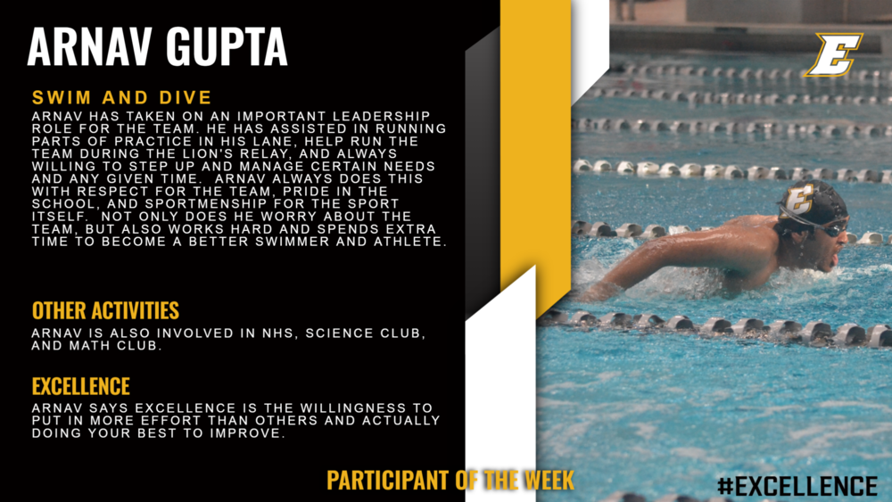 Arnav Gupta infographic